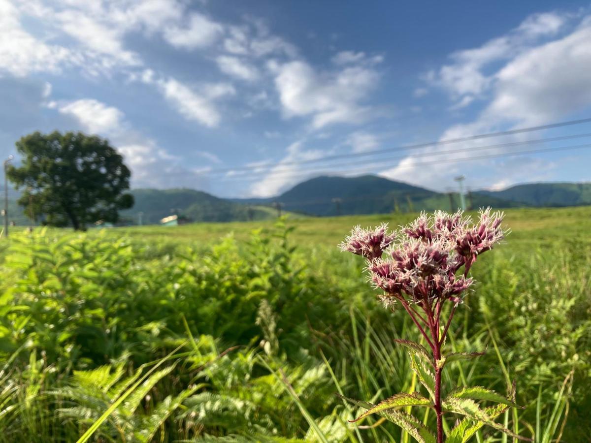 ยะมะกิวโซะ Hotel Otari ภายนอก รูปภาพ